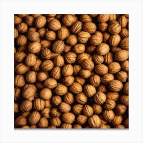 Walnuts On A Black Background 1 Canvas Print