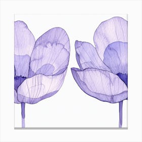 Two Purple Flowers Canvas Print