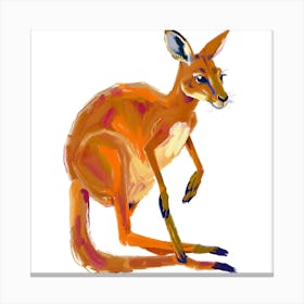 Kangaroo 03 Canvas Print