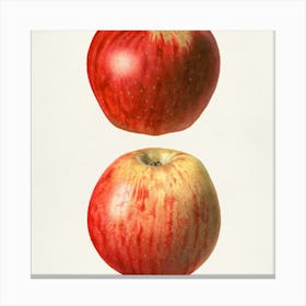 Apple Painting Canvas Print