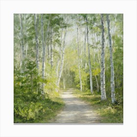 Birch Trees 5 Canvas Print