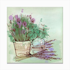 Lavender And Herbs Nature Painting Flora Canvas Print