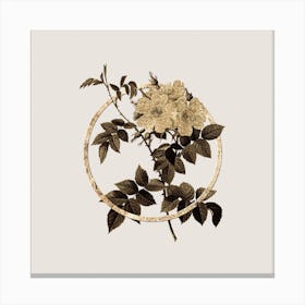 Gold Ring White Rosebush Glitter Botanical Illustration Canvas Print