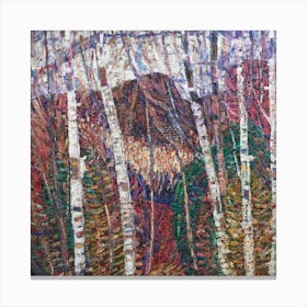 Birch Trees Canvas Print