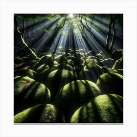 Mossy Forest Canvas Print