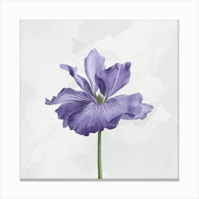 Purple Iris Canvas Print