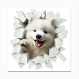 Samoyed 1 Canvas Print