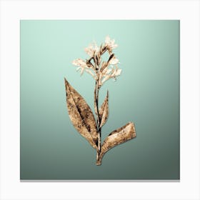 Gold Botanical Water Canna on Mint Green n.2250 Canvas Print