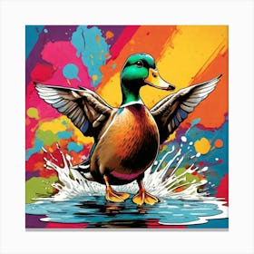 Mallard Duck Canvas Print