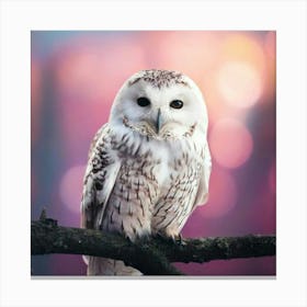 Firefly Owl, Soft, Peaceful, Smile, White, Wings, Down, Black, Big Eyes, Perched, Twig, Bokeh, Pink, (1) Canvas Print