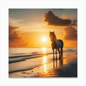 Horse On The Beach At Sunset 3 Canvas Print