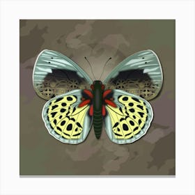 Mechanical Butterfly The Asterope Leprieuri Philotina On A Beige Background Canvas Print