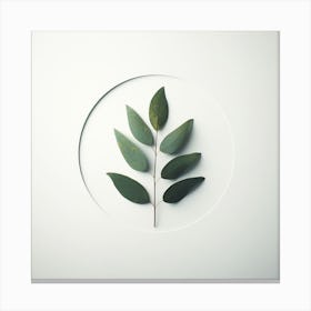 Eucalyptus Leaf In A Circle Canvas Print