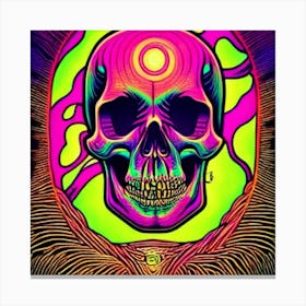 Skull And Psychedelics Canvas Print