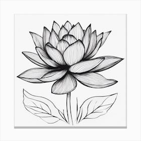 Lotus Flower Canvas Print