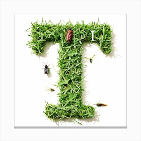 Letter T 1 Canvas Print