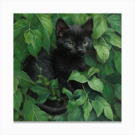 Black Kitten In Green Leaves 2 Canvas Print