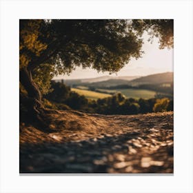 Sunset In The Countryside 5 Canvas Print