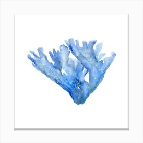 Blue Coral 4 Canvas Print