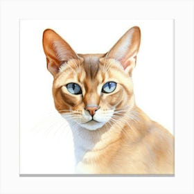 Thai Cat Portrait 3 Canvas Print