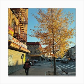 Autumn In Brooklyn Canvas Print