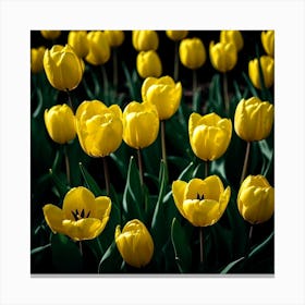 Yellow Tulips Canvas Print