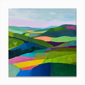 Colourful Abstract Dartmoor National Park England 3 Canvas Print