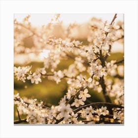 Flowers In Sunset Square Canvas Print