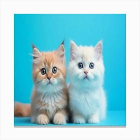 Close up on adorable kittens Canvas Print