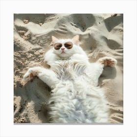 Cat In The Sand Canvas Print