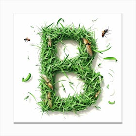 Grass Letter B Canvas Print