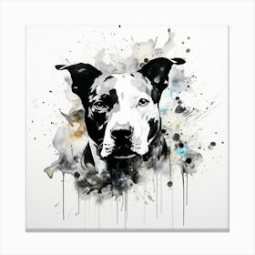 Pit Bull Canvas Print Canvas Print