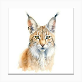 Desert Lynx Cat Portrait 3 Canvas Print