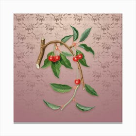 Vintage Cherry Botanical on Dusty Pink Pattern n.0161 Canvas Print