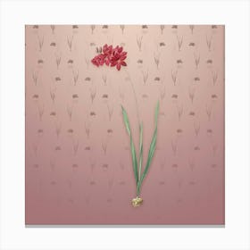 Vintage Ixia Filiformis Botanical on Dusty Pink Pattern n.2021 Canvas Print