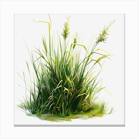 Watercolor-Spring-Grass-Clipart.20 Canvas Print