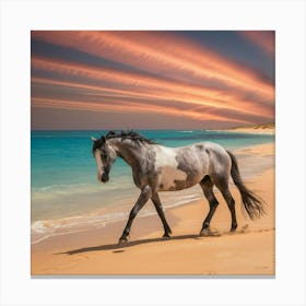 Horse On The Beach At Sunset 3 Canvas Print
