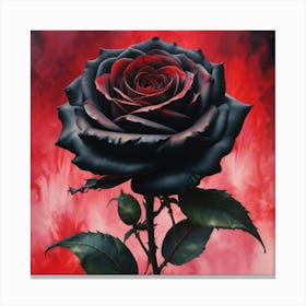 black rose Canvas Print