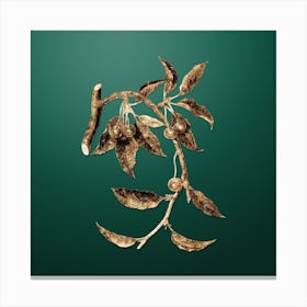 Gold Botanical Cherry on Dark Spring Green n.4179 Canvas Print