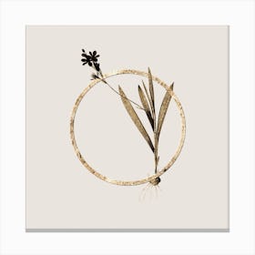 Gold Ring Gladiolus Mucronatus Glitter Botanical Illustration n.0038 Canvas Print
