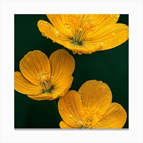 Three Yellow Flowers Canvas Print