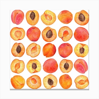 Repeat Pattern Apricot Square Canvas Print
