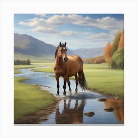 Horse In The Stream Canvas Print