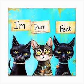 Pet Life 4 - Pet Purr Feet Canvas Print