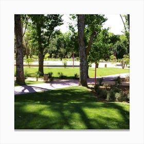 Park With Trees Canvas Print