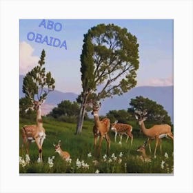 ABO OBAIDA Canvas Print