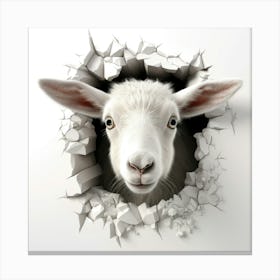 Sheep In A Hole Canvas Print