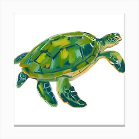 Green Sea Turtle 03 Canvas Print