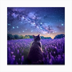 Cat Looking At The Milky-Way In A Field Of Lavender Canvas Print