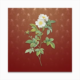 Vintage White Anjou Roses Botanical on Falu Red Pattern n.0697 Canvas Print